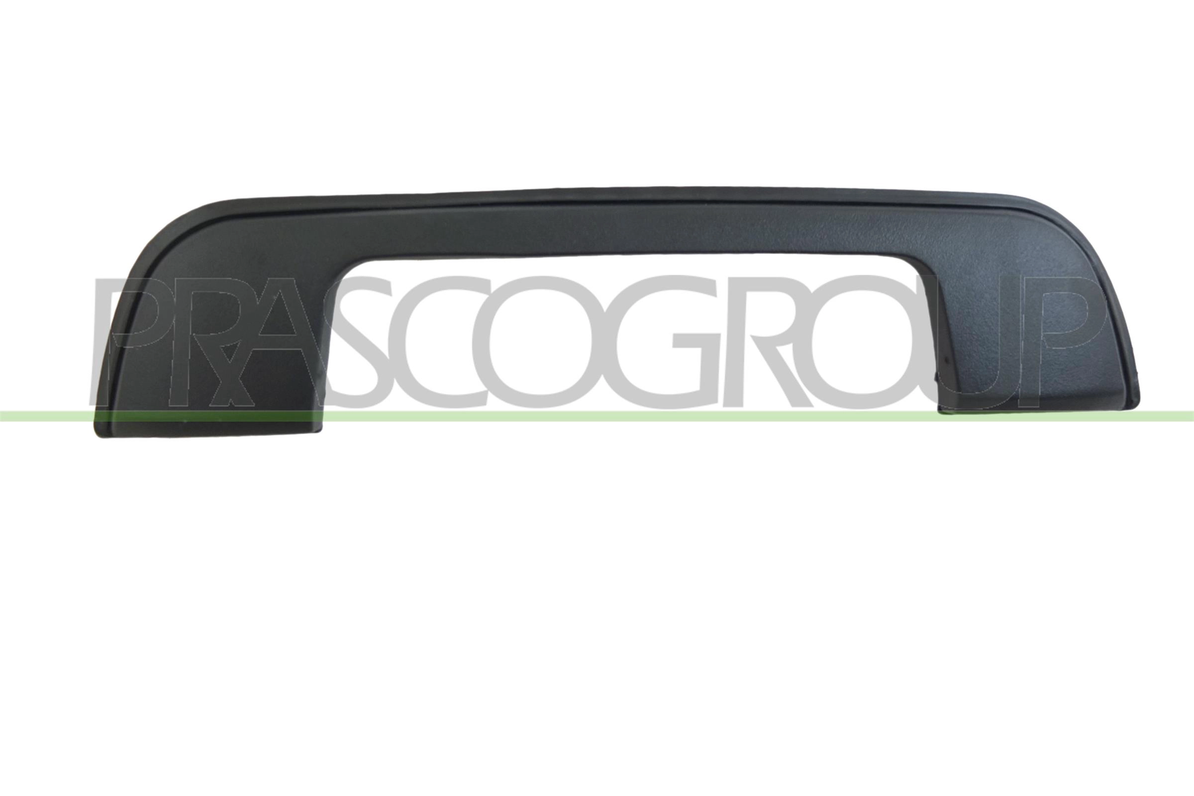 Ручка двери PRASCO BM0148711