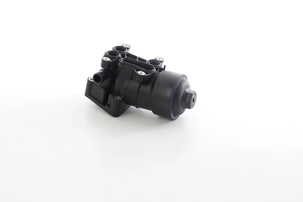 Фильтр масляный в сборе BSG BSG 90-507-011