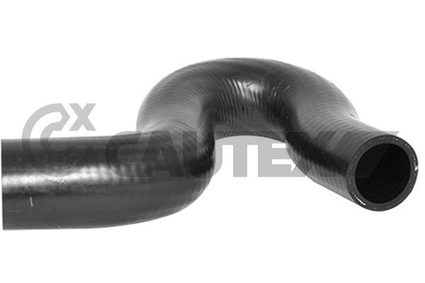 Патрубок радиатора CAUTEX 036493