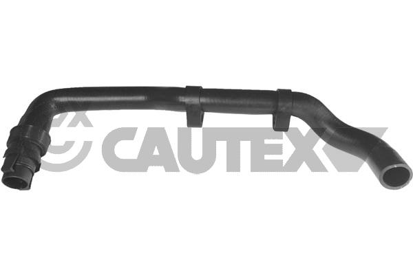 Патрубок радиатора CAUTEX 036053
