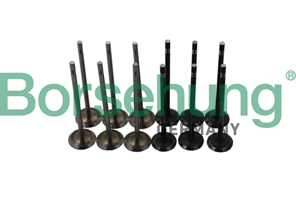 B19160 комплект клапанов двигателя BORSEHUNG B19160