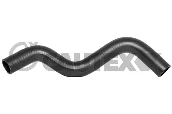Патрубок радиатора CAUTEX 026037