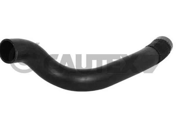 Патрубок нагнетаемого воздуха турбины ford transit 2.2tdci 11-14 ranger 2.2tdci 11- CAUTEX 752981