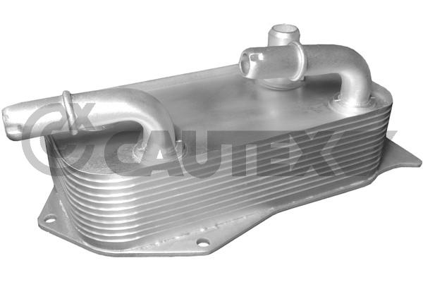 Радиатор масляный bmw 1(e87) 3(e90) x1 2.5/3.0 CAUTEX 201602