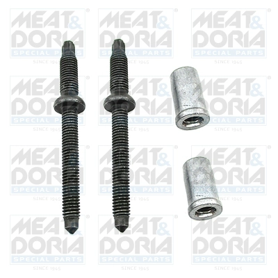 Ремкомплект форсунки citroen berlingo / berlingo first автофургон / микроавтобус (m) 160 05-11 160 05-11 berlingo / berlingo first вэн (mf gjk gfk) 160 05-11 160 05-0 MEAT & DORIA 9861
