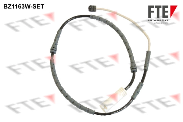Запчасть FTE BZ1163W-SET