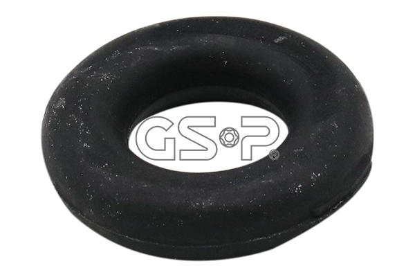  GSP 510171