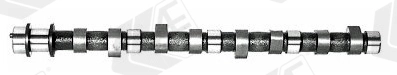 Распредвал AE CAM389