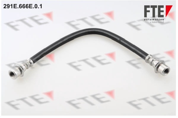 Шланг тормозной FTE 291E.666E.0.1