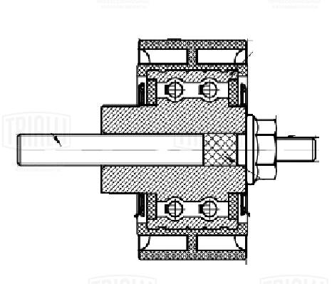 Ролик привод. ремня для а/м bmw x5 f15 (13-) 2.0d/3.0d n47 n57 dinamic (опор.) TRIALLI CM 5683