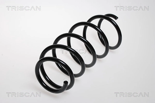 Пружина ходовой части TRISCAN 8750 24049