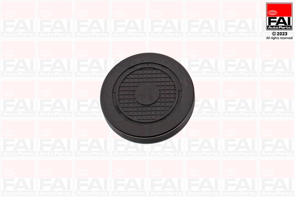 Заглушка оси коромысла FAI AUTOPARTS RMG880C