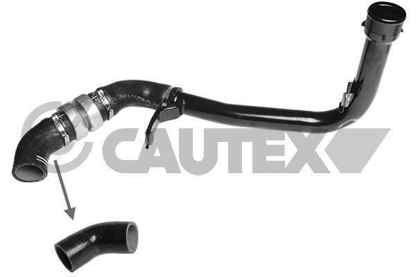 Запчасть CAUTEX 752698