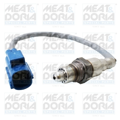  MEAT & DORIA 811006