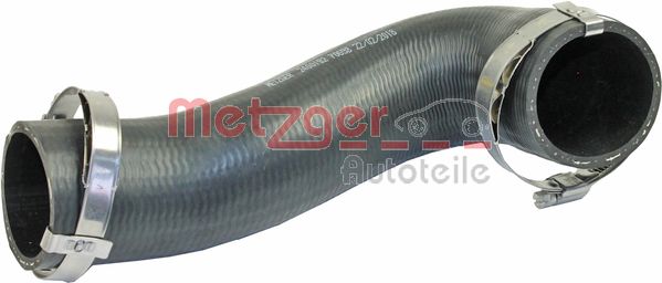  METZGER 2400192