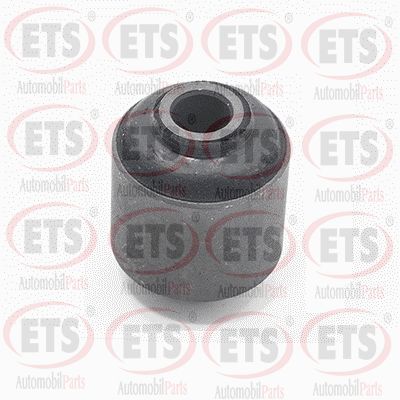 Рычаг подвески ETS 07.SB.324