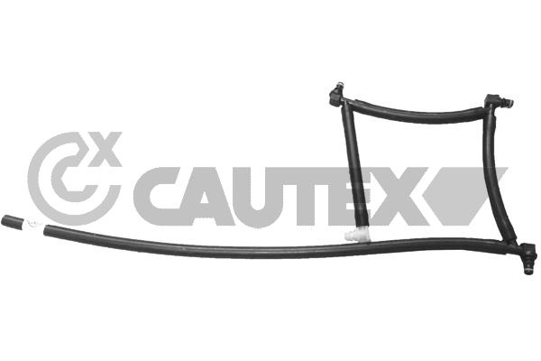 Запчасть CAUTEX 031706