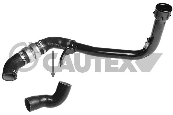 Запчасть CAUTEX 752697