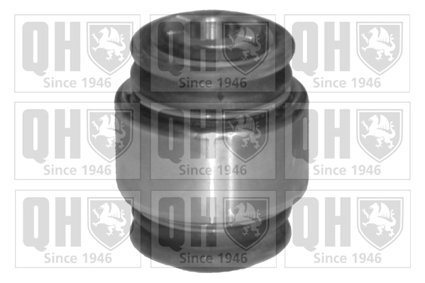 Сайлентблок подвески QUINTON HAZELL EMS8133