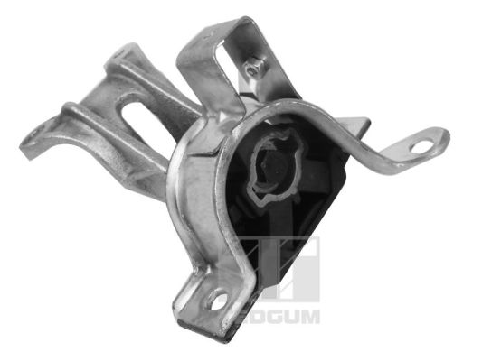  TEDGUM 00219142
