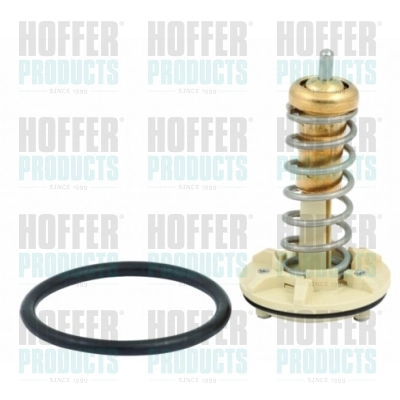 Термостат HOFFER 8192621
