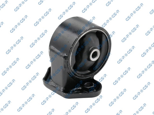  GSP 513748