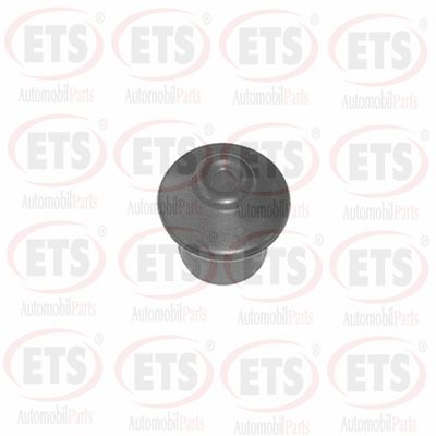 Опора двигателя ETS 31.EM.903
