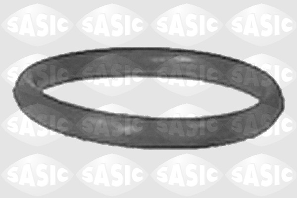 Прокладка впускной коллектор SASIC 3420E00