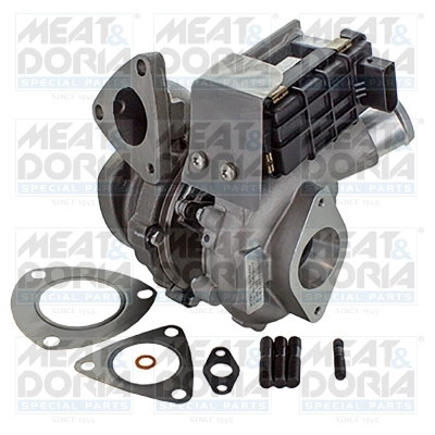  MEAT & DORIA 65062