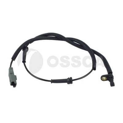  OSSCA 13100