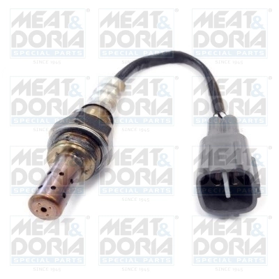 3004257 MEAT & DORIA 81793