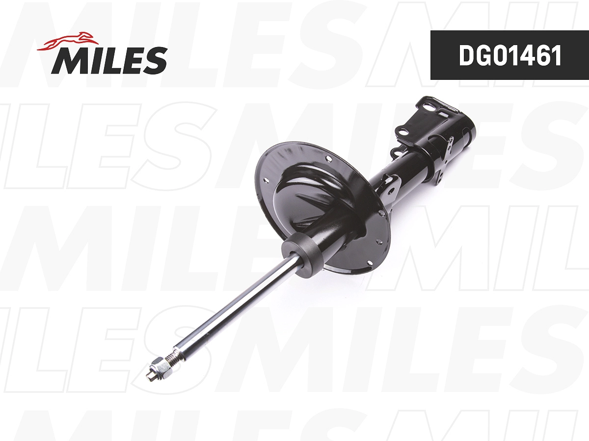 MILES DG01461