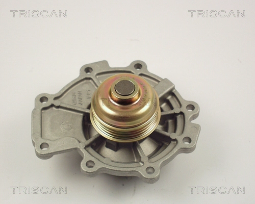 Насос водяной TRISCAN 8600 16011