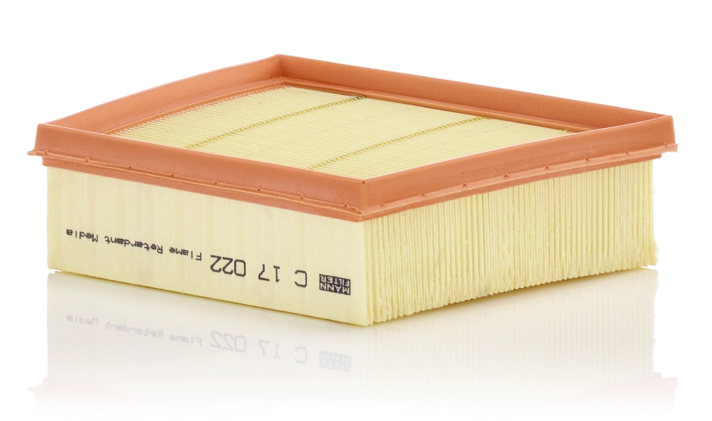  MANN-FILTER C17022