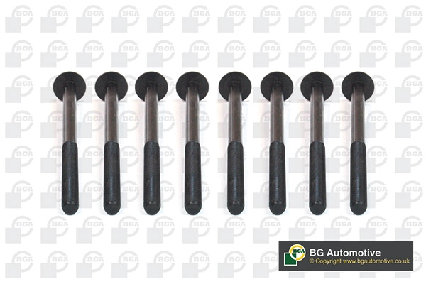 К-кт болтов гбц bmw 1 series 03/15- b37 d15 a 2 series 03/14- b37 c15 a mini mini 12/13- b37 c15 a BGA BK5930