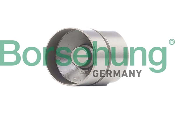 Гидрокомпенсаторы /комплект/ BORSEHUNG B12541