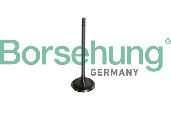 Клапан грм BORSEHUNG B10325