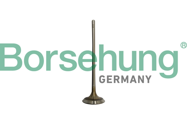 Клапан грм BORSEHUNG B10332