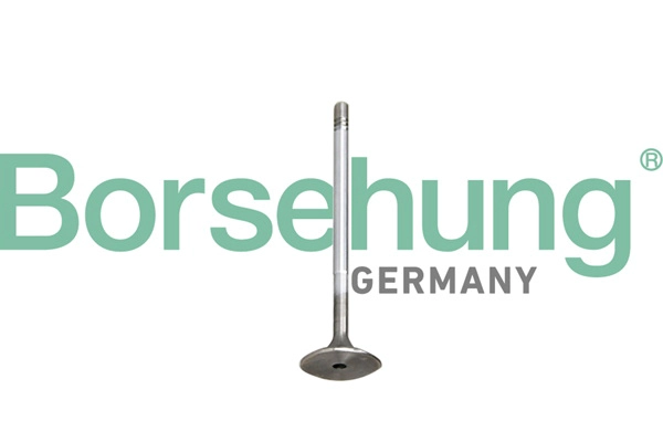 Клапан грм BORSEHUNG B10345