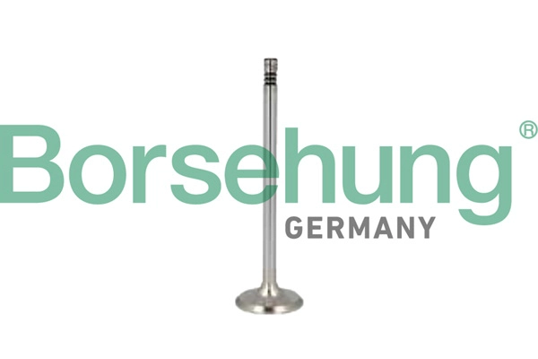 Клапан грм BORSEHUNG B10346