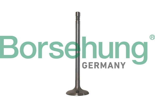 Клапан грм BORSEHUNG B10347