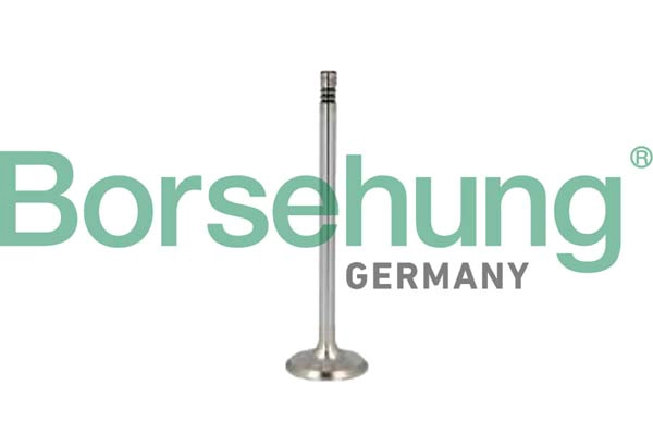 Клапан грм BORSEHUNG B10349