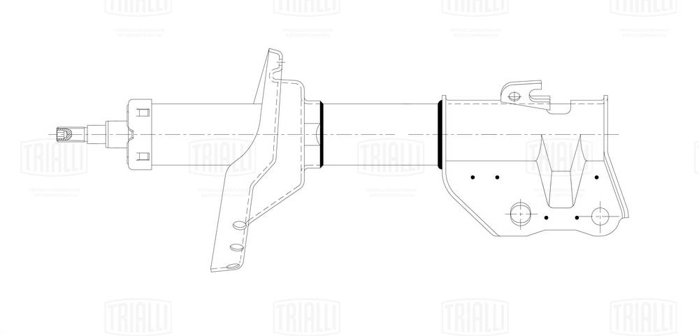 Амортизатор подвески TRIALLI AG22168