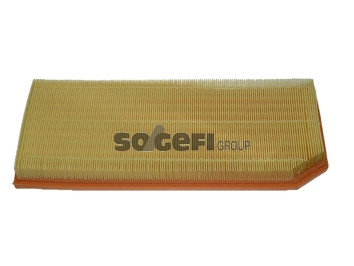 Воздушный фильтр FRAM CA10256