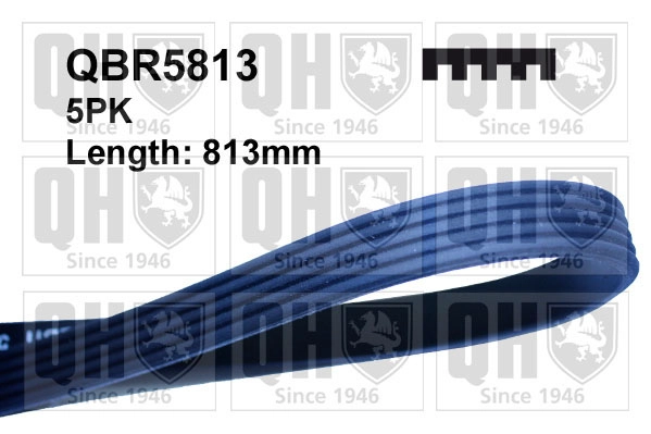 Поликлиновой ремень QUINTON HAZELL QBR5813