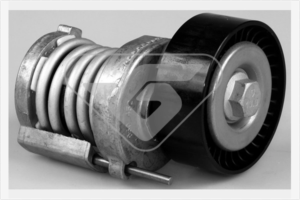 Натяжной ролик поликлиновой ремень HUTCHINSON T0248