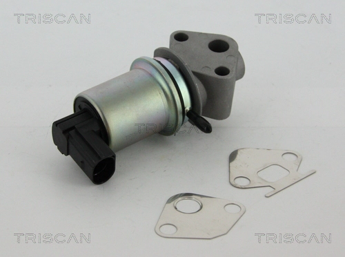 Клапан возврата ог TRISCAN 8813 29004