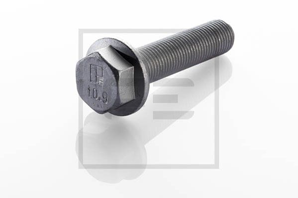 Болт диск тормозного механизма PE AUTOMOTIVE 010.173-00A