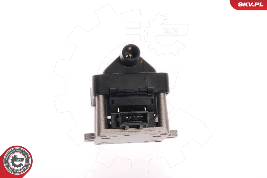 Катушка зажигания SKV 03SKV008