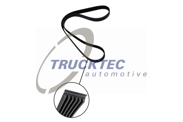 Поликлиновой ремень TRUCKTEC AUTOMOTIVE 08.19.084
